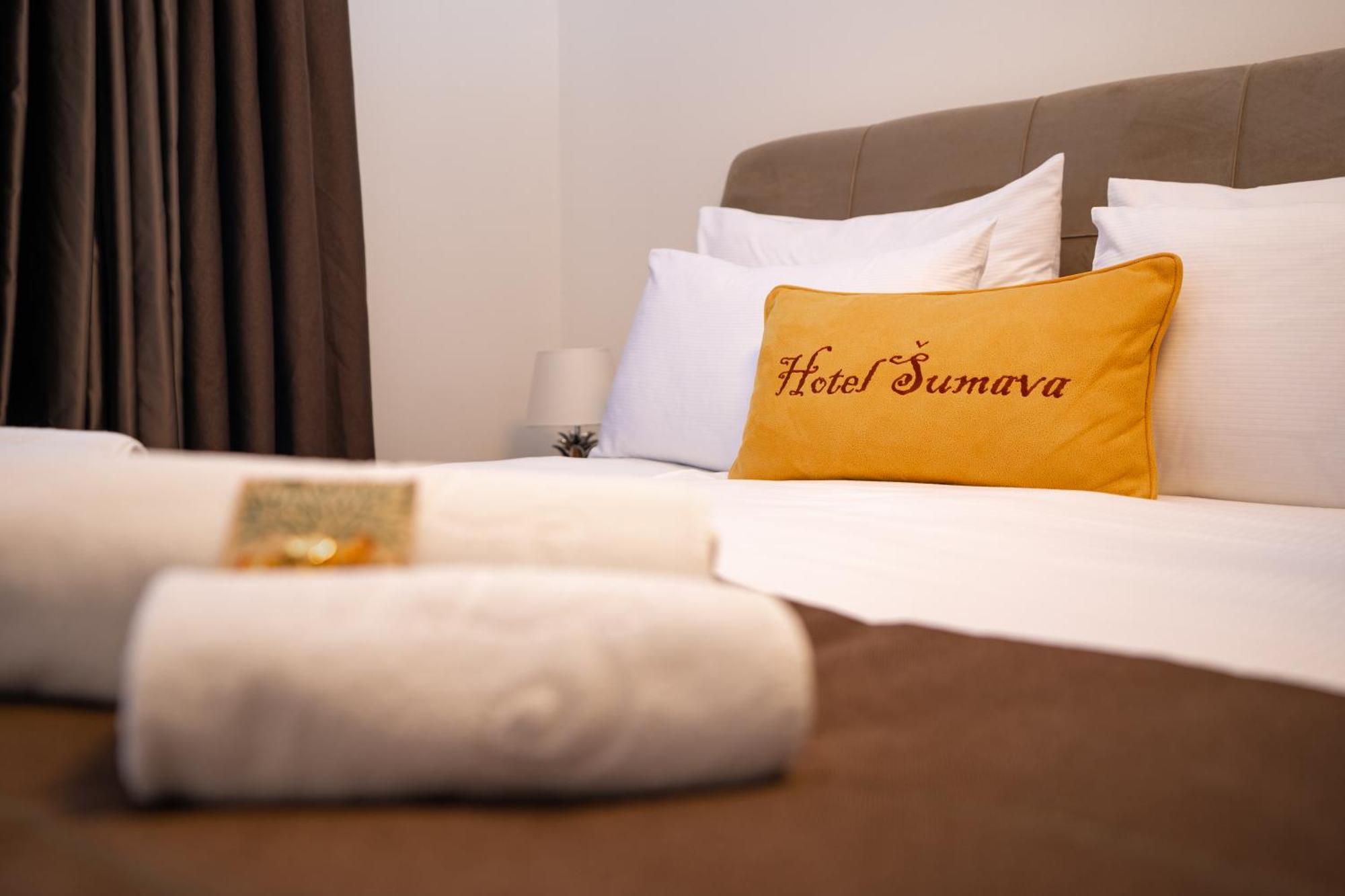 Hotel Sumava Železná Ruda エクステリア 写真