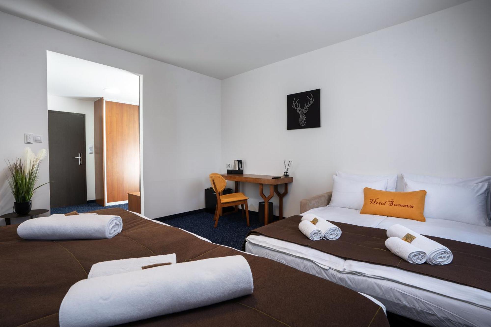 Hotel Sumava Železná Ruda エクステリア 写真